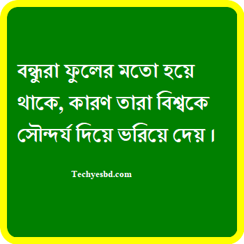 বন্ধু নিয়ে ক্যাপশন