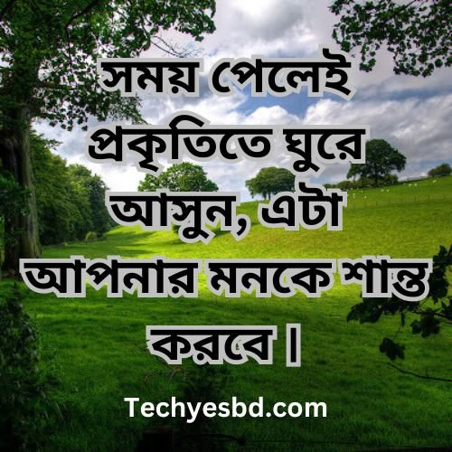 প্রকৃতি নিয়ে ক্যাপশন