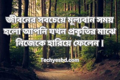 গ্রামের প্রকৃতি নিয়ে ক্যাপশন