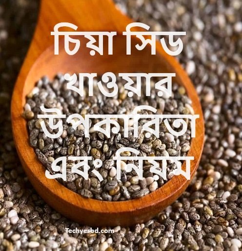 চিয়া সিড খাওয়ার উপকারিতা