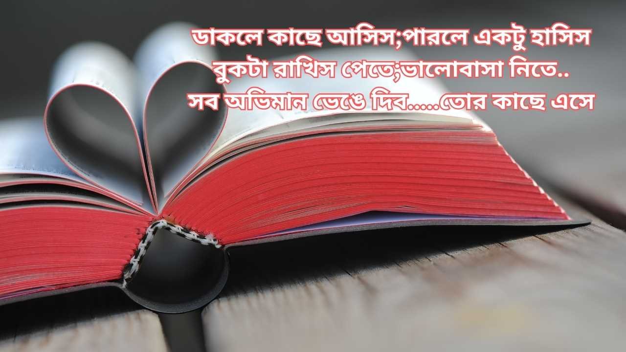 রোমান্টিক বাংলা গানের লিরিক্স

ডাকলে কাছে আসিস;পারলে একটু হাসিস
বুকটা রাখিস পেতে;ভালোবাসা নিতে..
সব অভিমান ভেঙে দিব